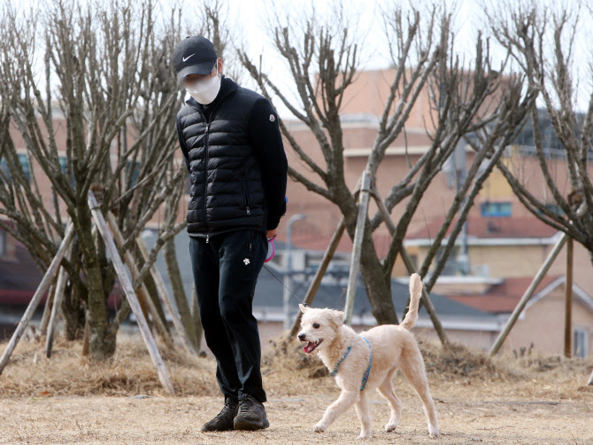 "맹견 소유자는 책임보험 가입하세요"…동물보호법 홍보나서는 정부