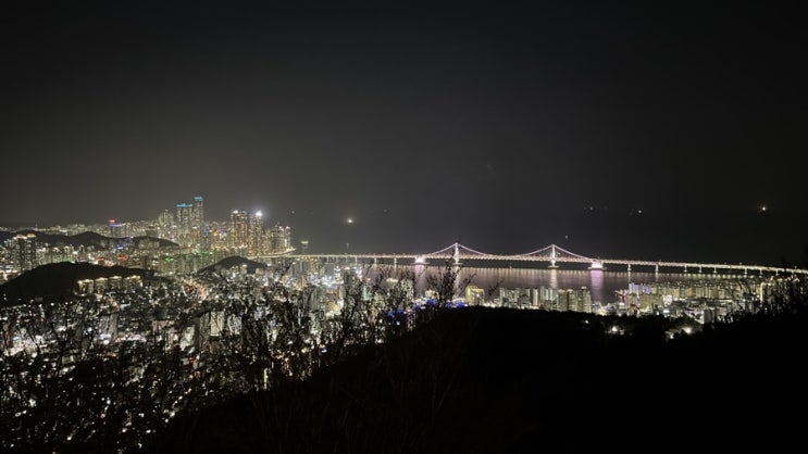  부산 야경 꽃놀이 추천) 황령산 벚꽃길 다녀왔어요