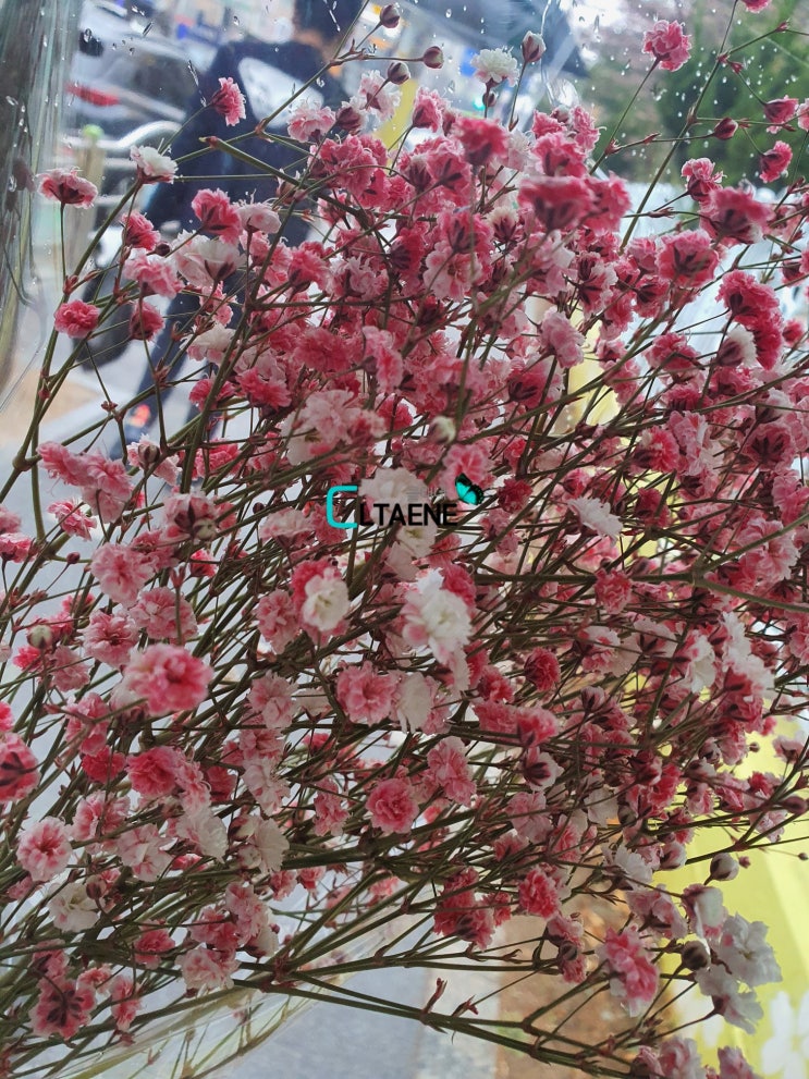  중동사랑시장에서 장보기
