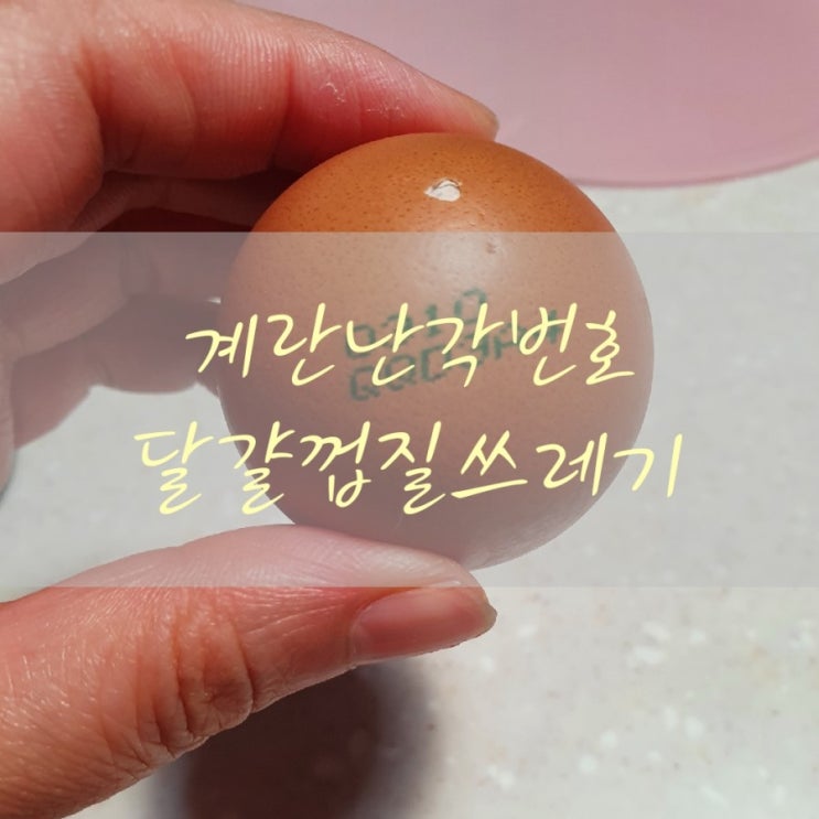  계란난각번호 달걀껍질쓰레기