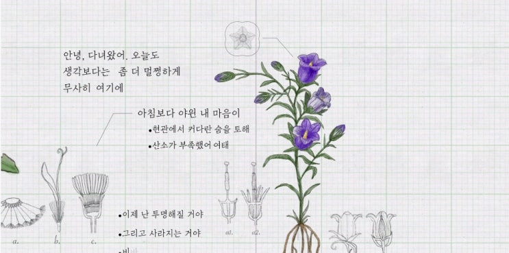  [MV] 서지음 _ 온실 [뮤비/가사/듣기]