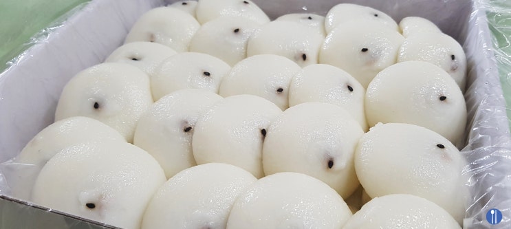 일산 떡집 추천, 궁 잔기지떡 고양화정점 기정떡 유통기한 보관법 일산 떡집 추천, 궁 잔기지떡 고양화정점 기정떡 유통기한 보관법