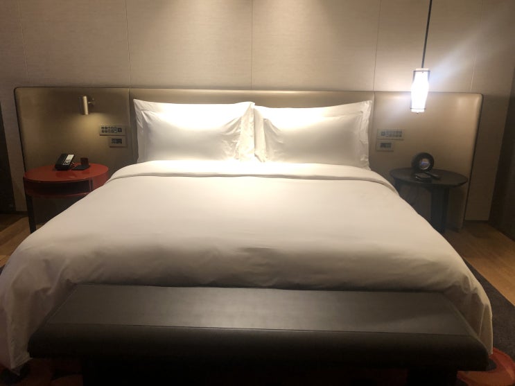  [Grand Hyatt Jeju] 그랜드 하얏트 제주 호텔 / 제주 신혼여행 호텔 / 최고급 아파트에 온 기분!!!!