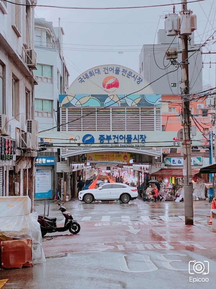 [서울 중부 건어물시장] 오징어 노가리 쥐포 아귀포 건어물 쇼핑