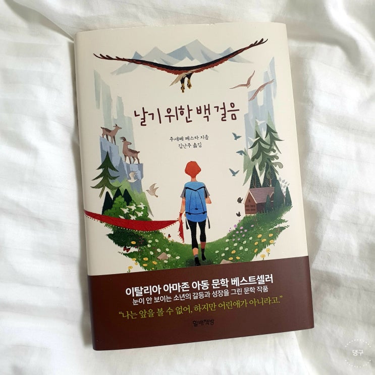  날기 위한 백 걸음 / 주세페 페스타