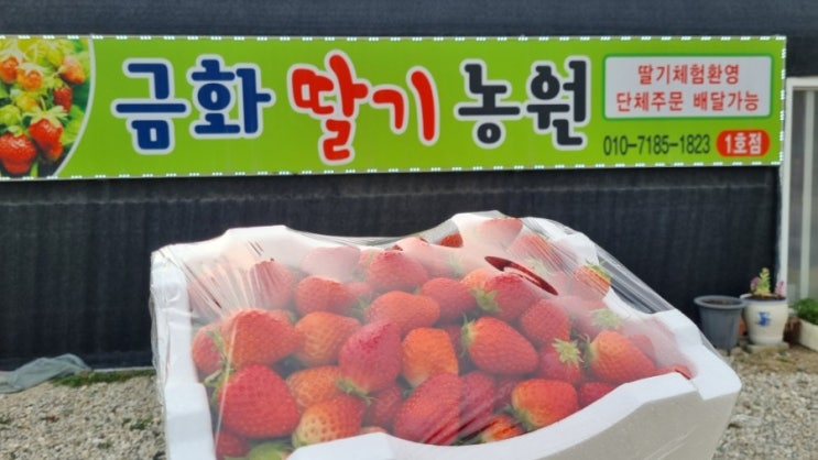 2021년 3월 26일 금요일 일상 2021년 3월 26일 금요일 일상