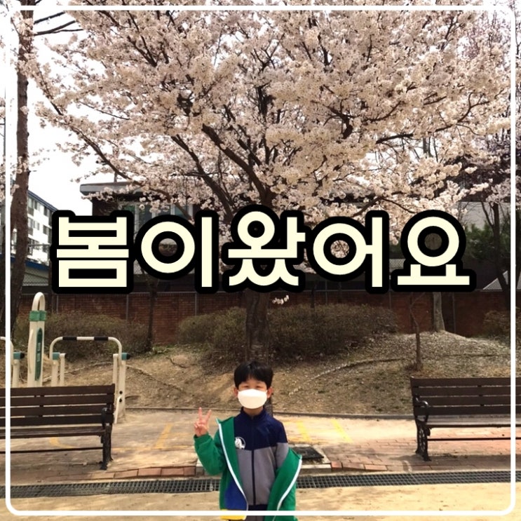  봄이왔어요