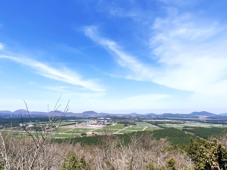  제주도 오름 —표선의 캠핑도 할수 있고 여러 오름을 볼수있는 삼나무 숲길 붉은오름 자연휴양림