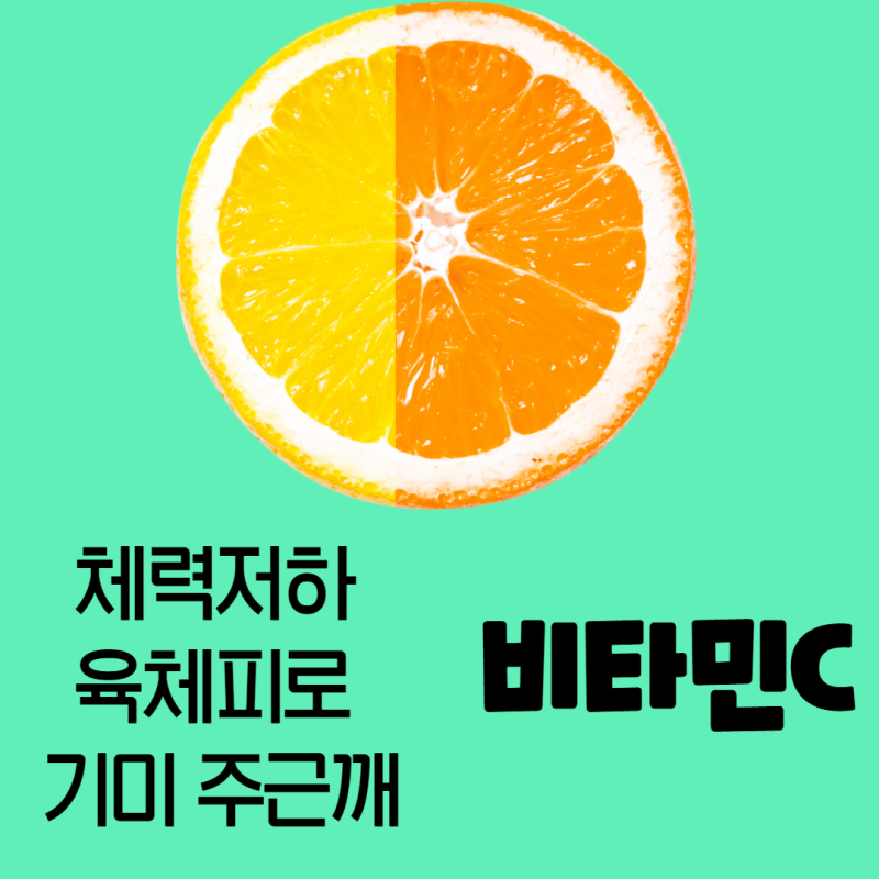 유한양행비타민C1000 유한비타민씨정1000MG 가격 착한 비타민C 알아보자