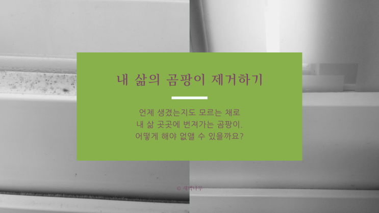  곰팡이 제거하며 얻은 인생 깨달음 8가지