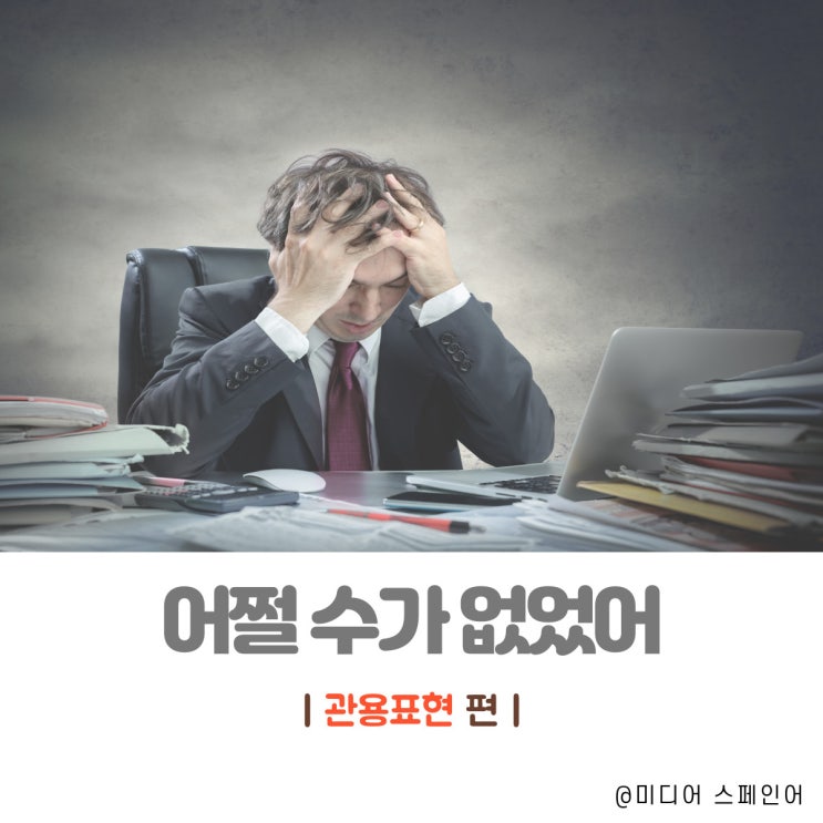  '어쩔 수가 없었어' 스페인어로?