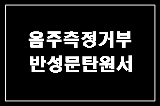  음주운전 측정 거부 반성문 탄원서