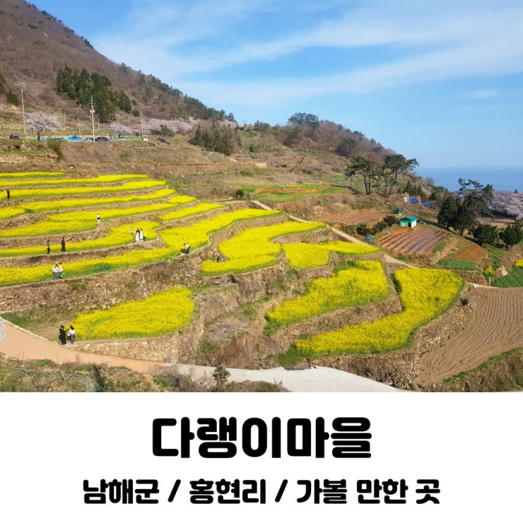  다랭이마을 / 홍현리 / 남해군 / 경남