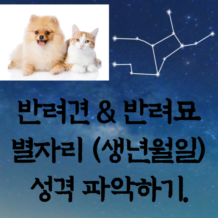  강아지,고양이 생일(별자리)로보는 성격.
