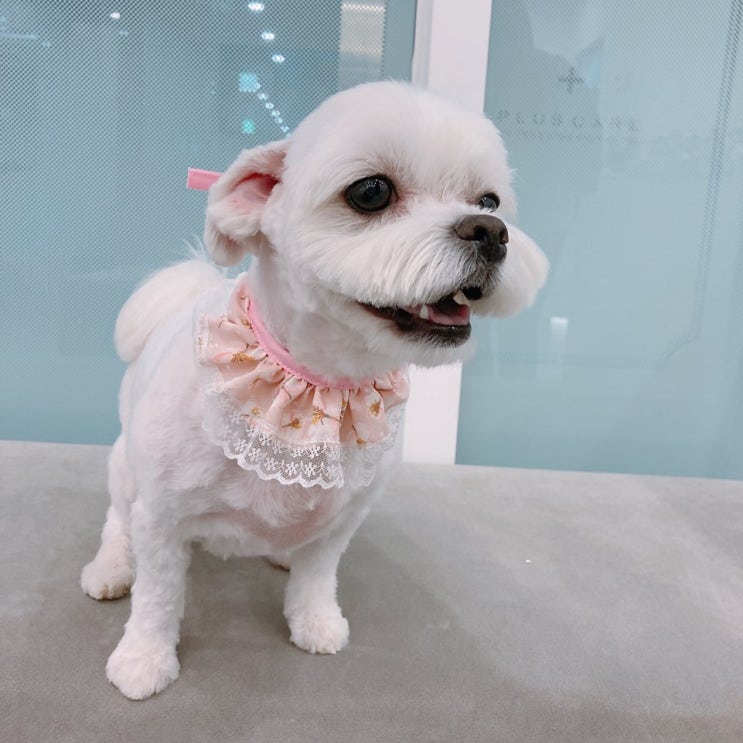  꿈꾸던 장기투자 (반성)