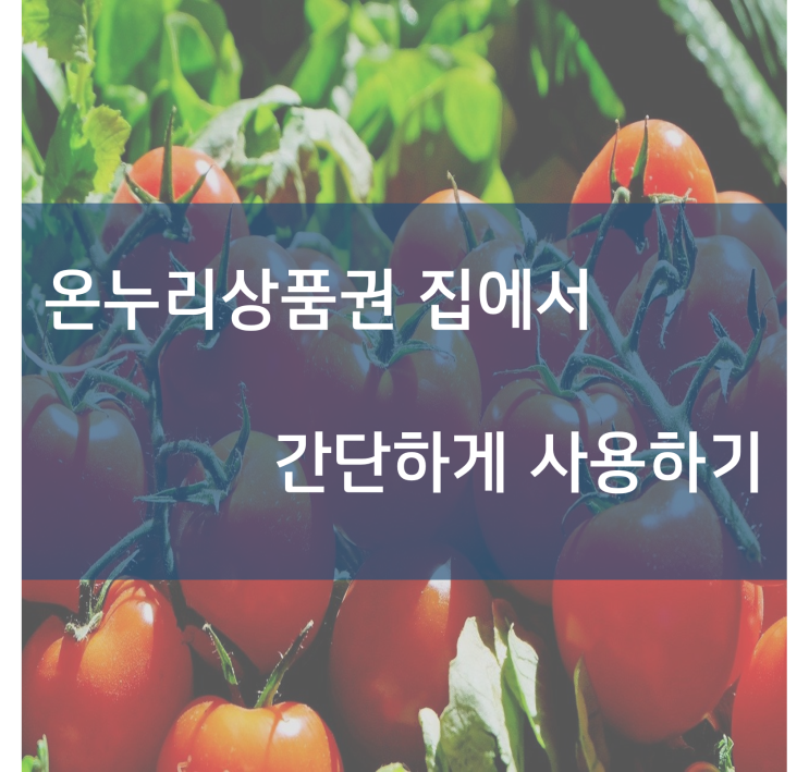  온누리전통시장몰에서 온누리상품권 간단하게 사용하기