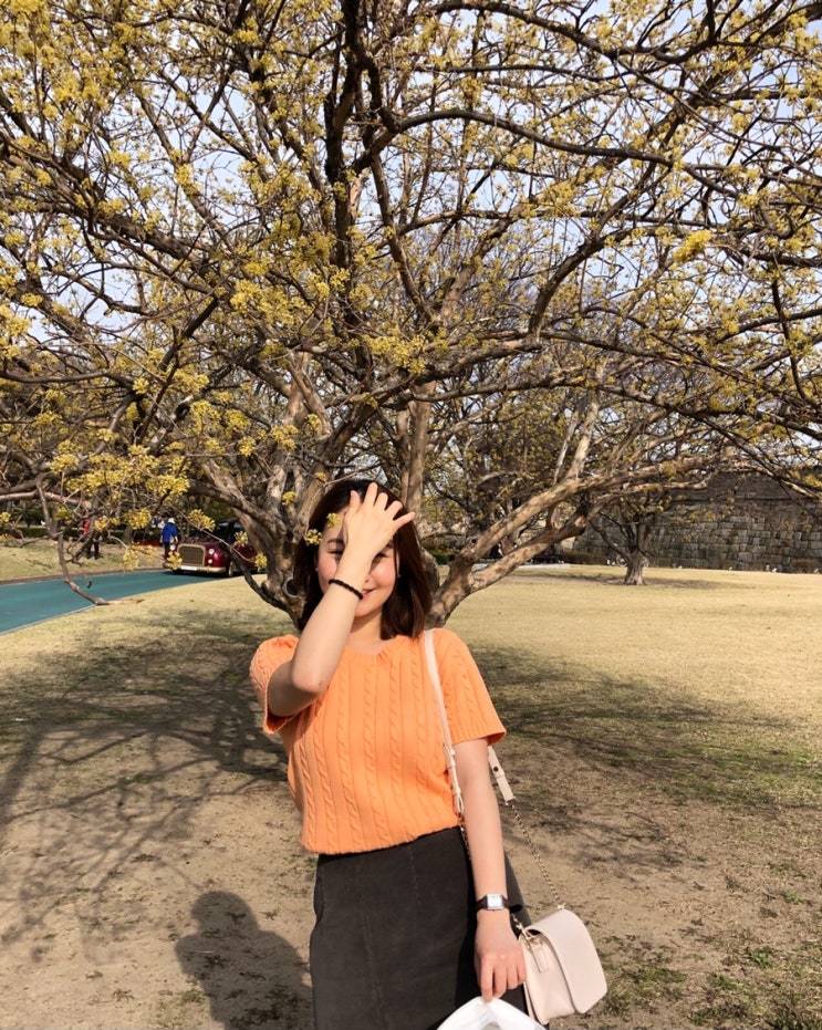 21.03.26 화성행궁: 모나미, 엘라제인커피, 행리단길