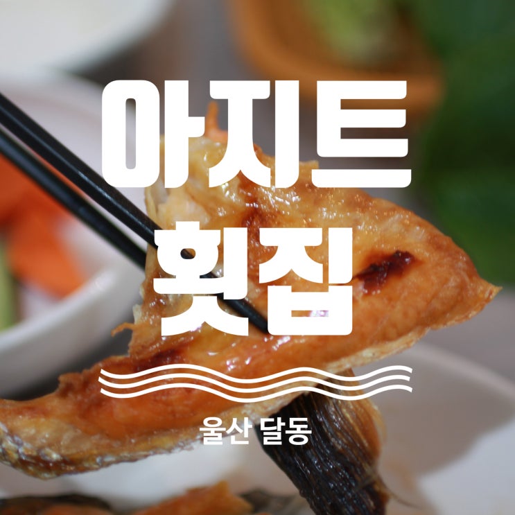  울산 자연산 횟집 추천 정감있는 울산 달동 아지트횟집