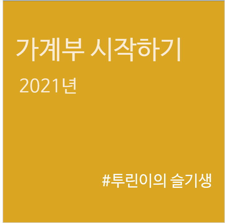  가계부를 회사의 장부처럼 생각하자
