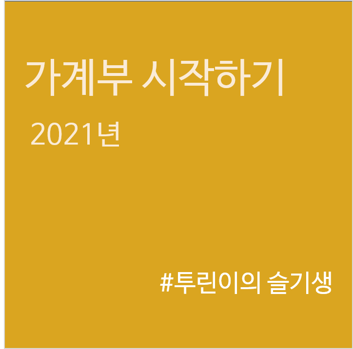 가계부를 회사의 장부처럼 생각하자