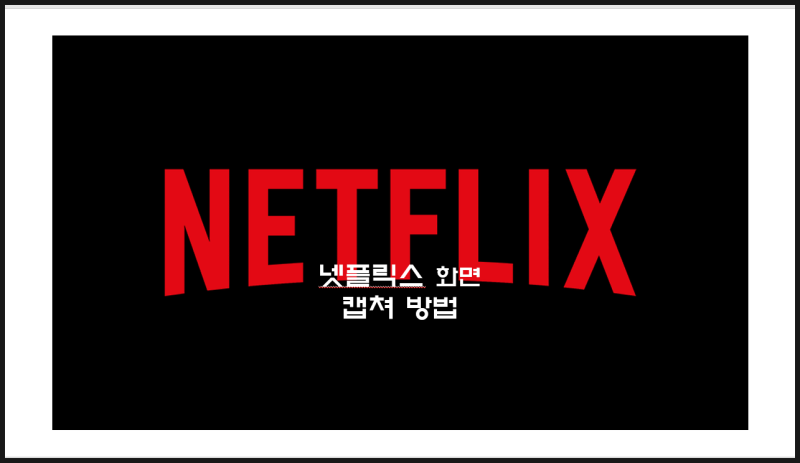 [꿀팁공유] 노트북 넷플릭스 화면 캡쳐 방법 공유해요 / 핸드폰보다 노트북 캡쳐를 추천하는 ....