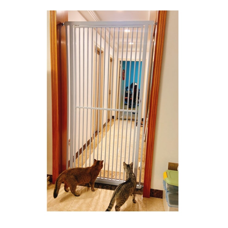 가성비갑 펫도어 안전문 방묘문 방묘창 고양이 창문 베란다 문 현관 고정 안전 펜스 중문 견문 강아지 추천해요 가성비갑 펫도어 안전문 방묘문 방묘창 고양이 창문 베란다 문 현관 고정 안전 펜스 중문 견문 강아지 추천해요