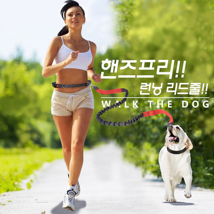 후기가 좋은 런웨이멍멍 핸즈프리리드줄 강아지리드줄 강아지조깅, 라임 추천해요 후기가 좋은 런웨이멍멍 핸즈프리리드줄 강아지리드줄 강아지조깅, 라임 추천해요