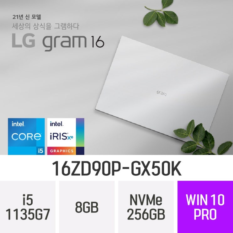 잘나가는 LG전자 2021년 그램 16 16ZD90P-GX50K, 8GB, 256GB, 윈도우 포함 좋아요