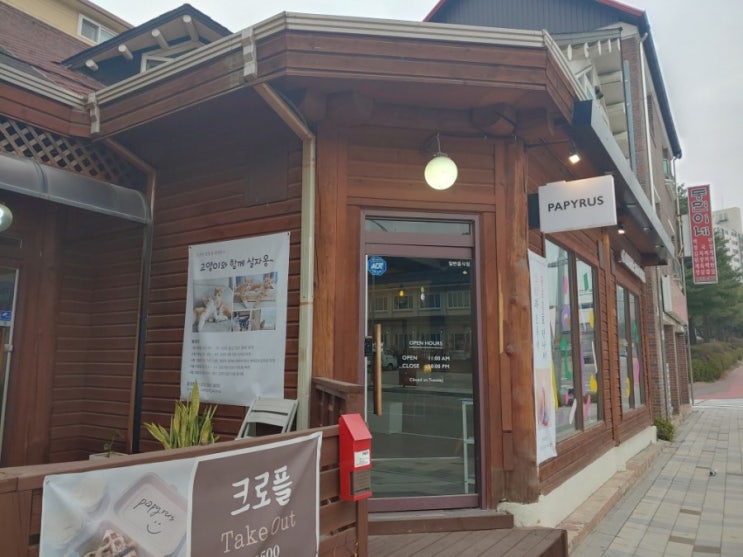  고양이집사분들의 커뮤니티이자 길고양이 인식개선을 위한 공간, 카페 파피루스