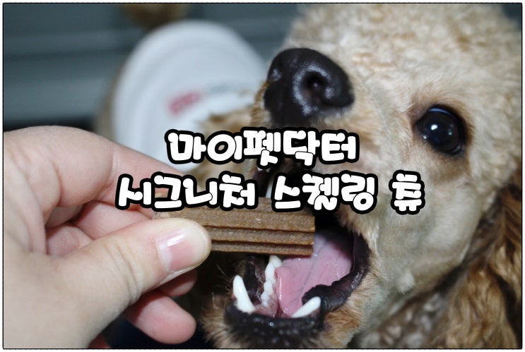 강아지 치아관리 추천 :) 마이펫닥터 스켈링껌