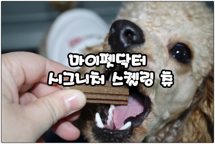  강아지 치아관리 추천 :) 마이펫닥터 스켈링껌