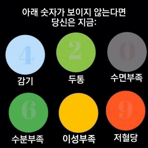 건강 간편 체크