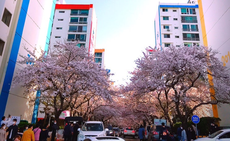  나만의 알찬 하루 만들기 프로젝트 (6일차)