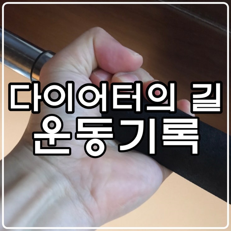 [다이어터의 길] 210328 - 운동기록(턱걸이, 스쿼트)