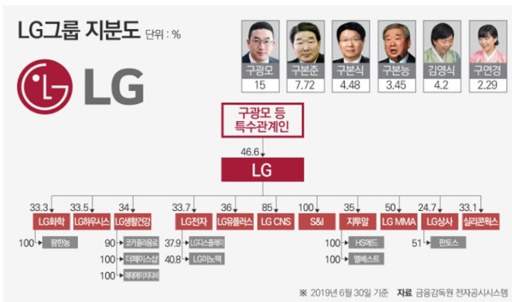 지주사 더블 카운팅 문제 (2) 지주사 더블 카운팅 문제 (2)