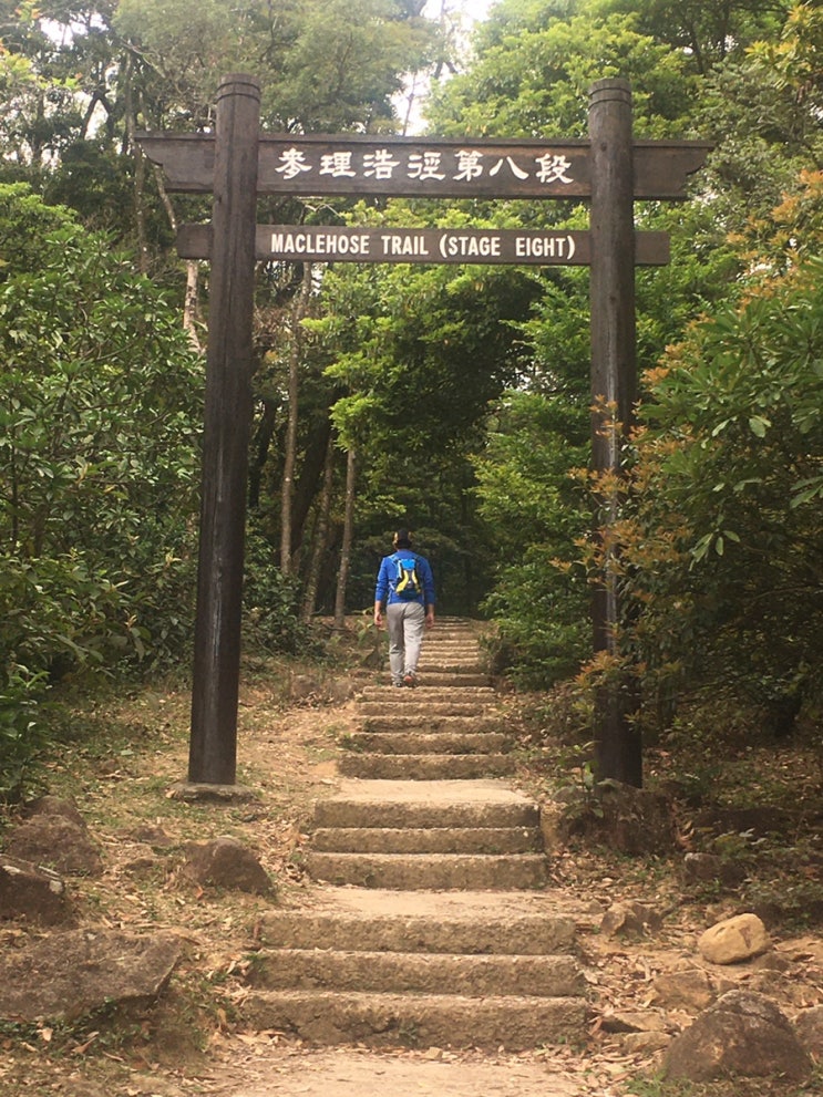  홍콩 하이킹 Maclehose trail 100km 완주 - section 8