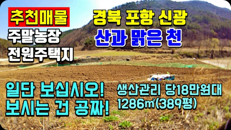 포항부동산 신광면 기일리 전원주택지 주말농장으로 추천하는 밭 389평. 토지매매 시골집매매 촌집매매 전원주택매매 급매 전문 착한부동산 포항부동산 신광면 기일리 전원주택지 주말농장으로 추천하는 밭 389평. 토지매매 시골집매매 촌집매매 전원주택매매 급매 전문 착한부동산