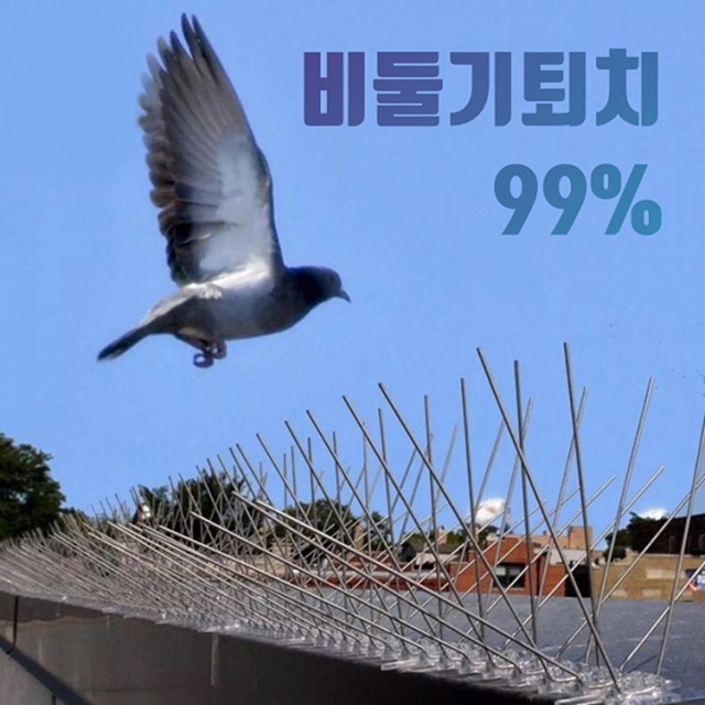 후기가 좋은 소소품 비둘기 퇴치 베란다 실외기 퇴치망 스틸 3미터+케이블타이25개, 1세트 추천합니다 후기가 좋은 소소품 비둘기 퇴치 베란다 실외기 퇴치망 스틸 3미터+케이블타이25개, 1세트 추천합니다