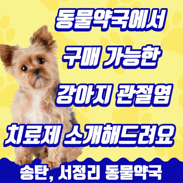  <평택, 송탄 동물약국> 강아지 관절염 치료제 소개