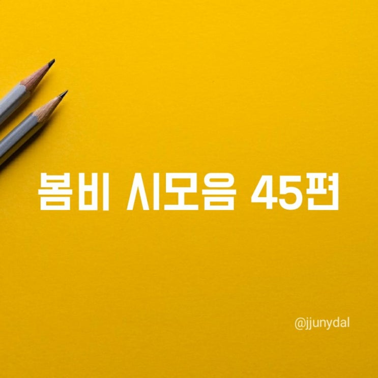  봄비시모음, 봄계절과 어울리는 시추천