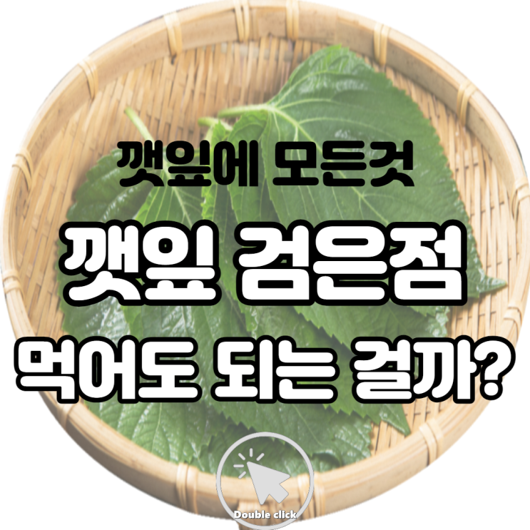 깻잎 보관법 검은점이 있다면 먹어도 될까? 효능 칼로리도 알아보아요