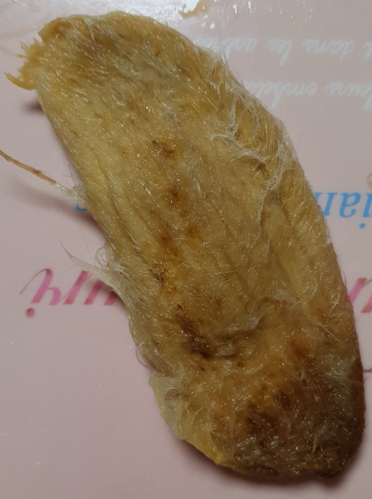  망고키우기)망고 씨앗 싹틔우기