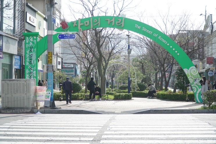  봄이 있는 목포 하당 장미의 거리