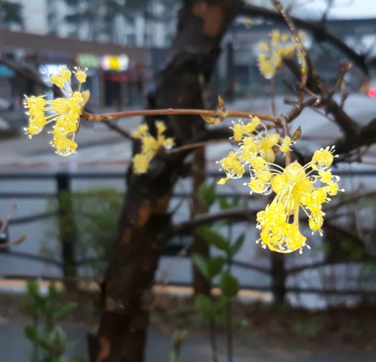  산책