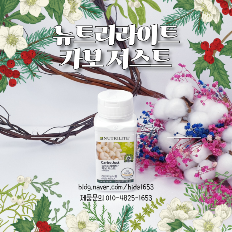 암웨이 식이섬유 뉴트리라이트 카보저스트(알약타입, 강낭콩, 혈당관리)