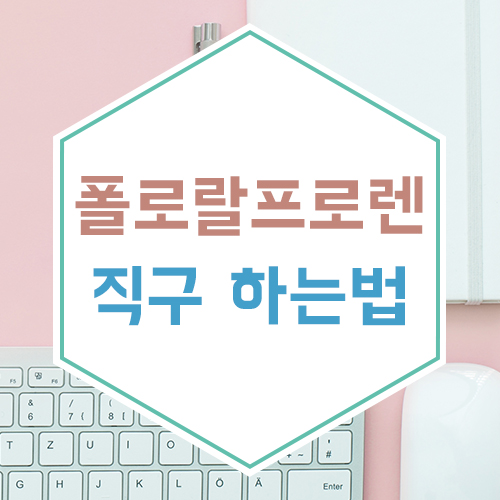  폴로 랄프로렌 직구 하는법 총정리(feat. 무료배송)