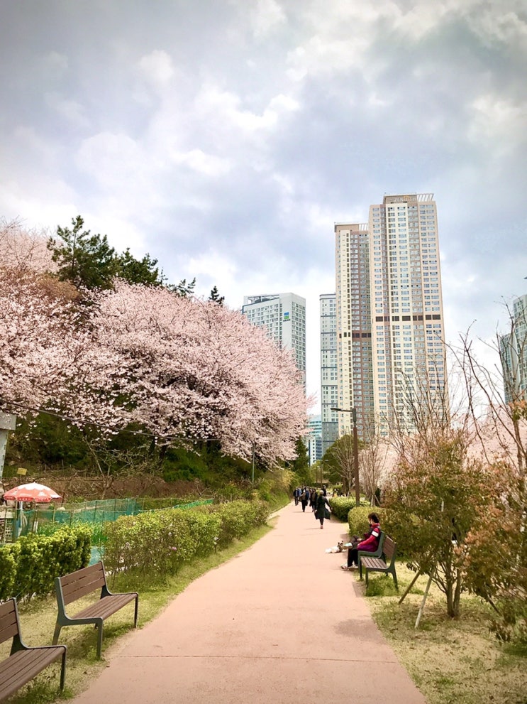  해운대 우동에서 송정까지 작정하고 걷기(제1부)