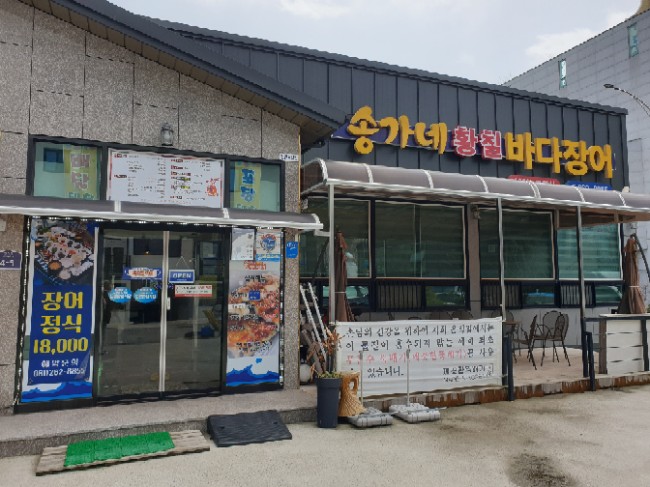  목포맛집]#송가네황칠 바다장어/목포장어집/장어구이/장어회
