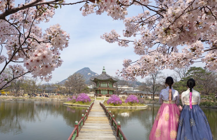 서울벚꽃명소 Best 7 올해는 개화가 빠르지만 일부 폐쇄조치