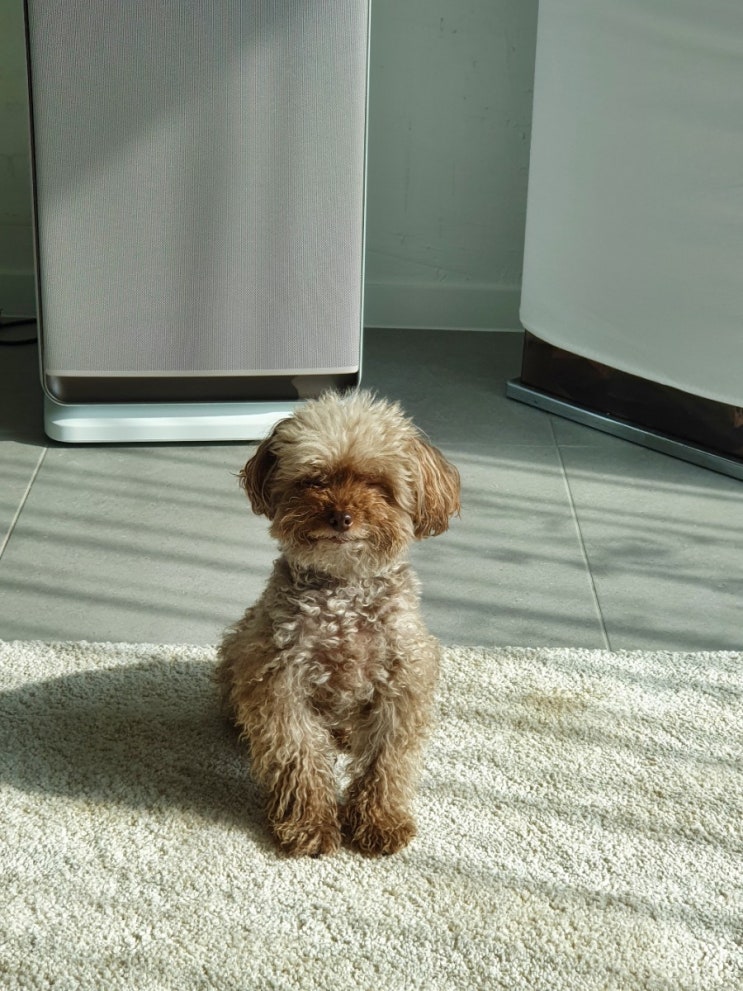  우리집 막내 초롱이~~^^